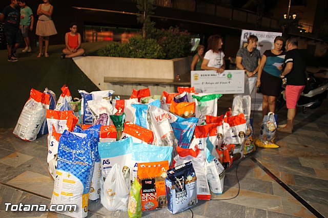 El Carnaval de Totana colabora con el Refugio del Viento - 77