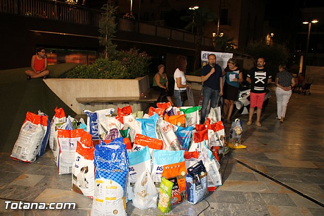 El Carnaval de Totana colabora con el Refugio del Viento - 81