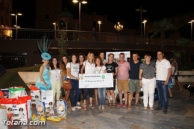 El Carnaval de Totana colabora con el Refugio del Viento - 84