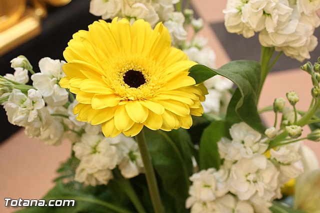 Exposicin 25 aniversario Cofrada de Jess Resucitado - 230