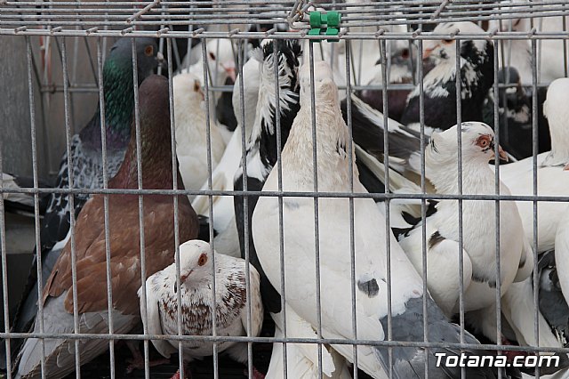 Procesin del Encuentro. Domingo de Resurreccin 2017 - 178