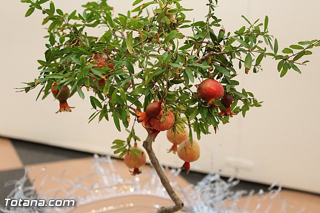 Exposicin de manualidades REUTILIZA-T - 96