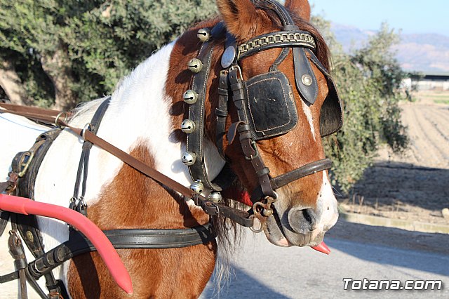 Romera de Lbor 2017 - 120