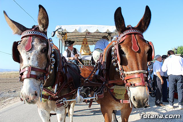 Romera de Lbor 2017 - 152