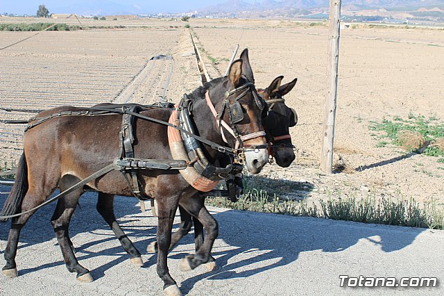 Romera de Lbor 2017 - 185