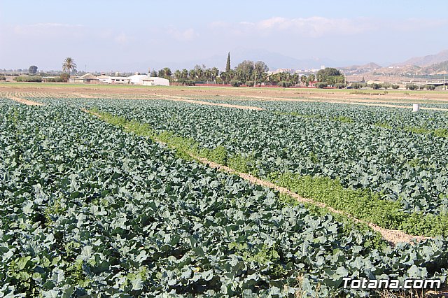 Romera de Lbor 2017 - 197