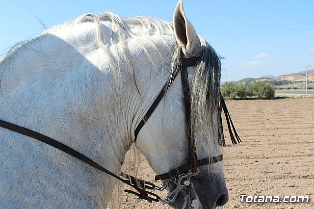 Romera de Lbor 2017 - 211