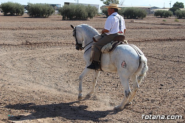 Romera de Lbor 2017 - 212