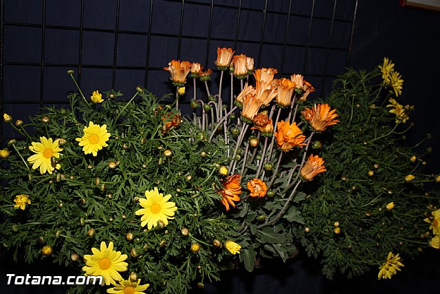 Feria de Abril en Totana 2012 - Carpas rocieras - 9