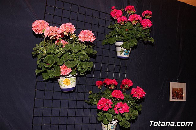 Inauguracin carpas rocieras. Totana 2013 - 66