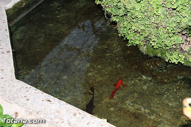 Romera de bajada Santa Eulalia 8/12/2016 - 209