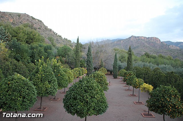 Romera de bajada Santa Eulalia 8/12/2016 - 210
