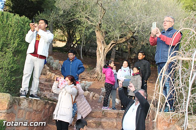 Romera de bajada Santa Eulalia 8/12/2016 - 338