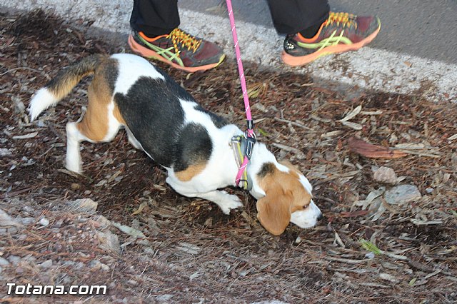 Romera de bajada Santa Eulalia 8/12/2016 - 432