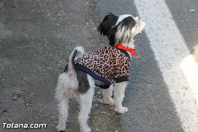 Romera de bajada Santa Eulalia 8/12/2016 - 864