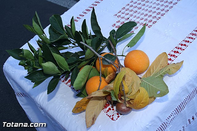 Romera Santa Eulalia. 8 de diciembre de 2011 - Reportaje fotogrfico - 486