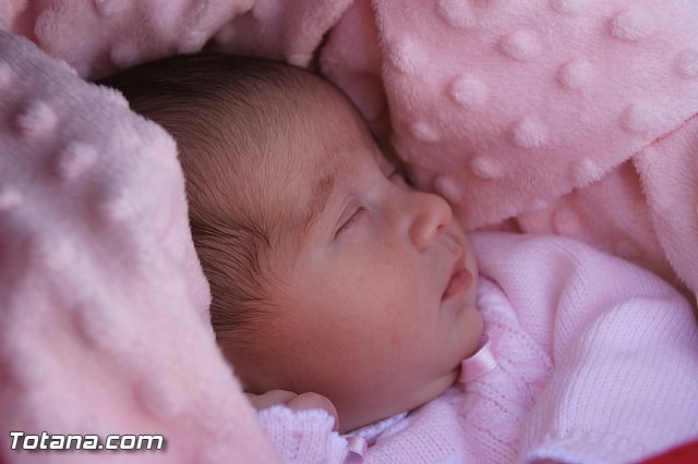 Romera infantil - Colegio Santa Eulalia 2016 - 299