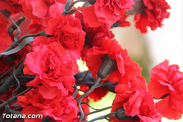 Romera infantil - Colegio Santa Eulalia 2016 - 419