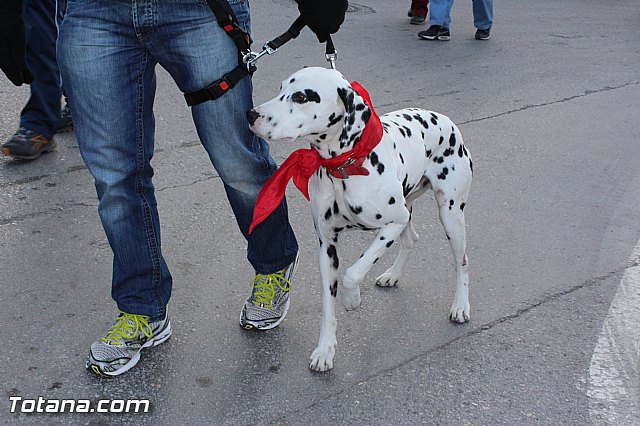 Romera Santa Eulalia. 7 enero 2015. Totana -> El Rulo - 119