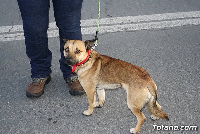 Romera Santa Eulalia. 7 enero 2015. Totana -> El Rulo - 427