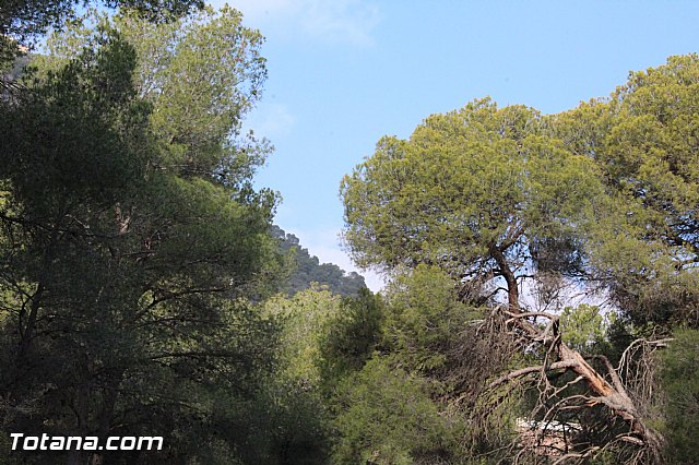 Romera Santa Eulalia. 7 enero 2015. El Rulo -> La Santa - 293