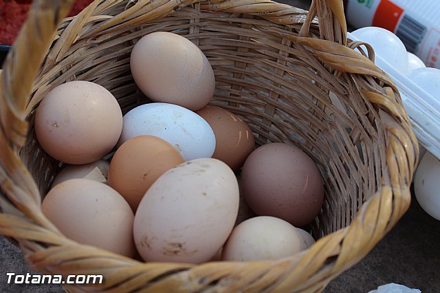 Romera Santa Eulalia. 7 enero 2015. Jornada festiva en La Santa - 11