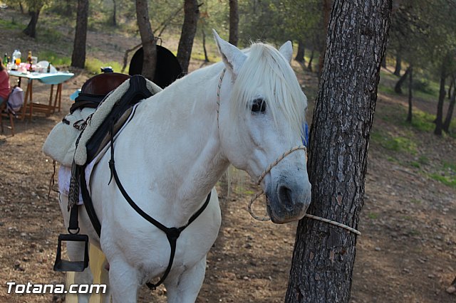 Romera Santa Eulalia. 7 enero 2015. Jornada festiva en La Santa - 91