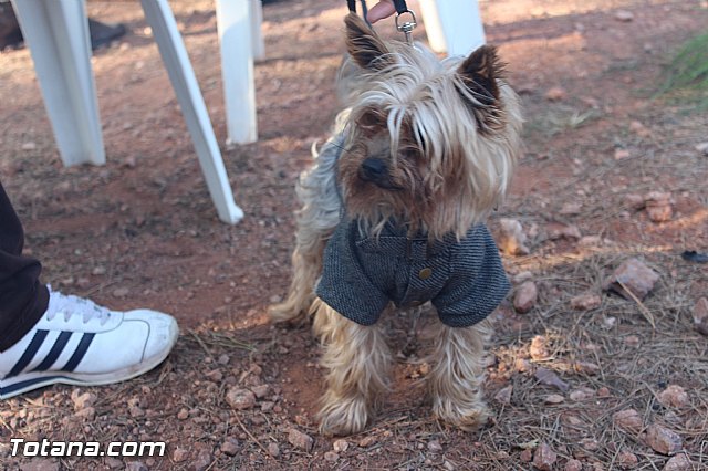 Romera Santa Eulalia. 7 enero 2015. Jornada festiva en La Santa - 134