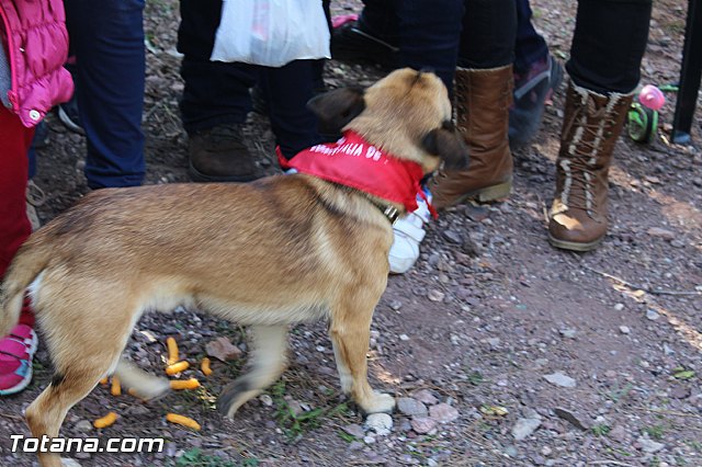 Romera Santa Eulalia. 7 enero 2015. Jornada festiva en La Santa - 154