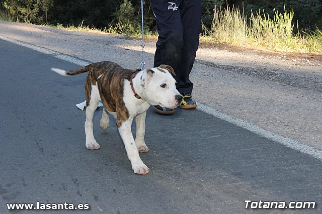 Romera Santa Eulalia 7 enero 2013. Llegada a La Santa - 177