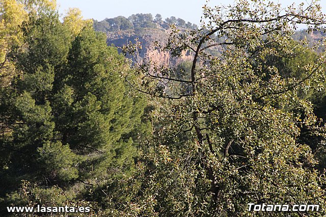 Romera Santa Eulalia 7 enero 2013. Llegada a La Santa - 391