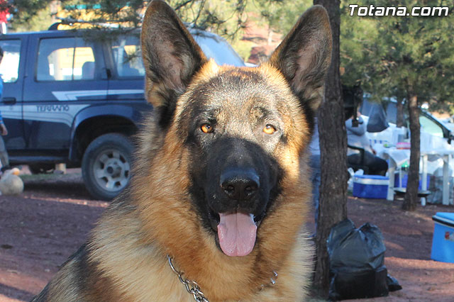 Romera Santa Eulalia 7 enero 2013. Jornada de convivencia en la Santa - 304