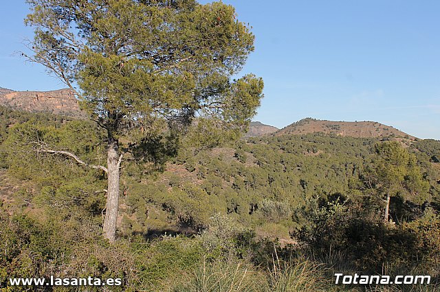 Romera Santa Eulalia 7 enero 2013. Jornada de convivencia en la Santa - 316