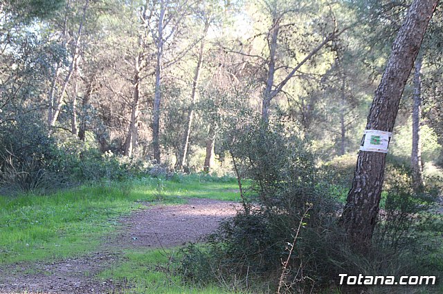 Romera Santa Eulalia 7 enero 2019 - 741