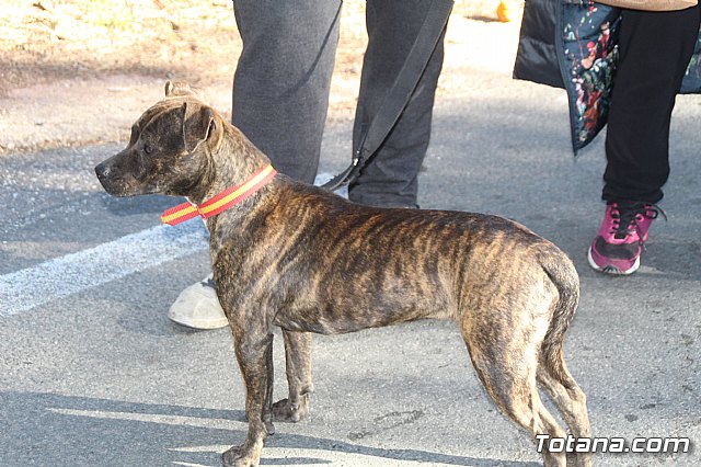 Romera Santa Eulalia 7 enero 2019 - 752