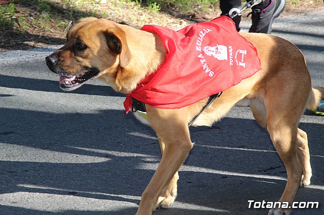 Romera Santa Eulalia 7 enero 2019 - 1068