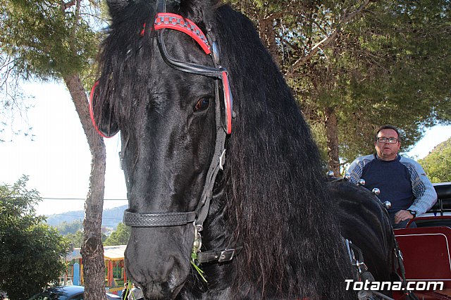 Romera Santa Eulalia 7 enero 2019 - 1326