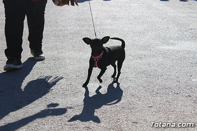Romera Santa Eulalia 7 enero 2019 - 1399