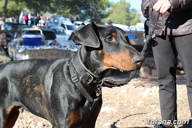Romera Santa Eulalia 7 enero 2019 - 1567