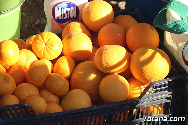 Romera Santa Eulalia 7 enero 2019 - 1581