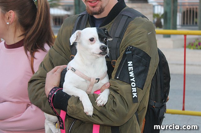 Romera Santa Eulalia 7 enero 2020 (Reportaje II) - 37