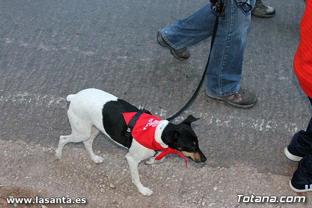 Romera Santa Eulalia 8 diciembre 2012 - 475