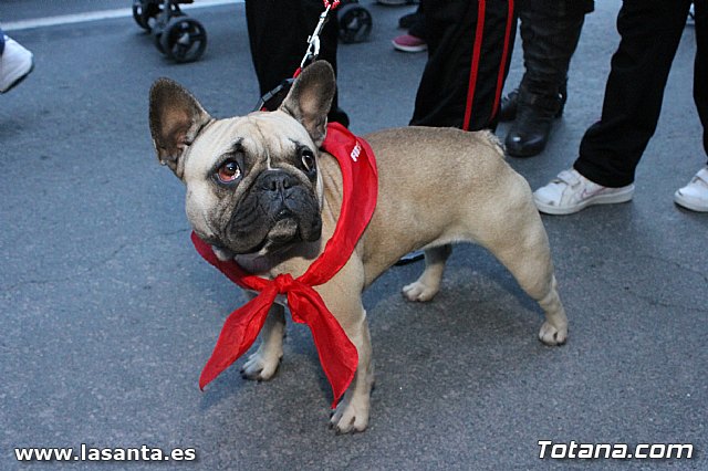 Romera Santa Eulalia 8 diciembre 2012 - 573