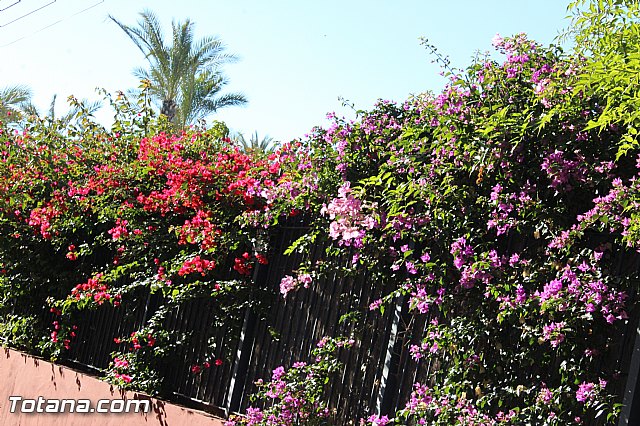 Romera de bajada de Santa Eulalia de Mrida - 08/12/2014 - 451