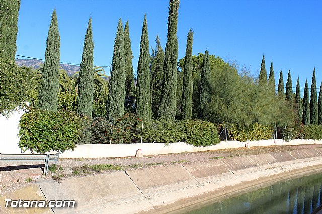 Romera de bajada de Santa Eulalia de Mrida - 08/12/2014 - 520