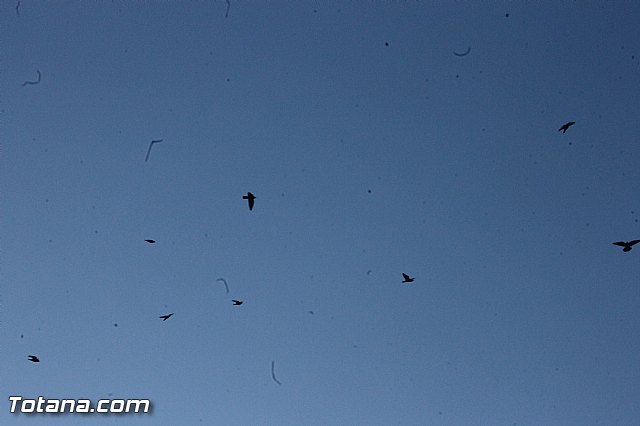 Romera de bajada de Santa Eulalia de Mrida - 08/12/2014 (Reportaje II) - 60