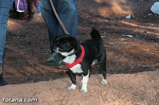 Romera de bajada de Santa Eulalia de Mrida - 08/12/2014 (Reportaje II) - 105
