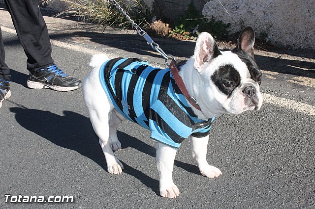 Romera de bajada de Santa Eulalia de Mrida - 08/12/2014 (Reportaje II) - 305