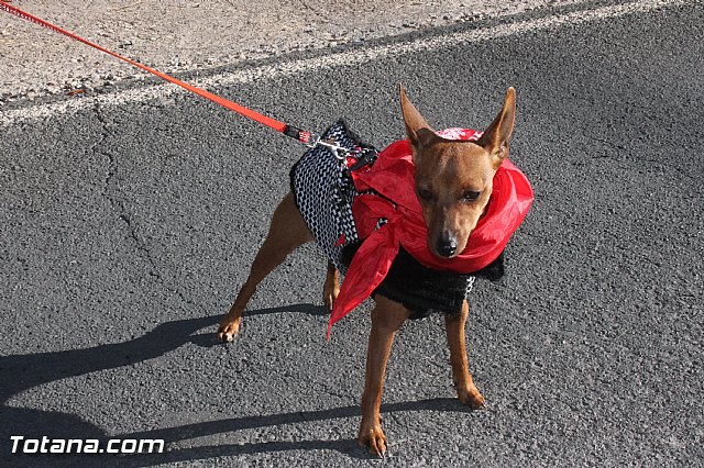 Romera de bajada de Santa Eulalia de Mrida - 08/12/2014 (Reportaje II) - 313