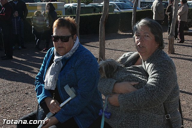 Romera de bajada de Santa Eulalia de Mrida - 08/12/2014 (Reportaje II) - 315